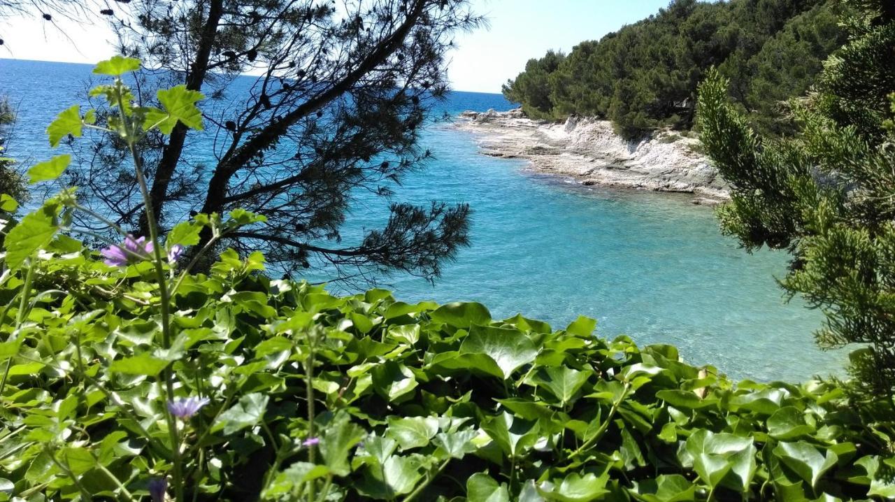 Apartman Bela Apartman Póla Kültér fotó